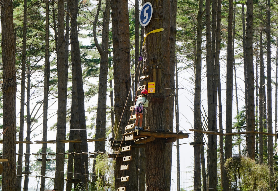 Checkmk Raw, how to use Checkmk Raw, Checkmk Raw snapshot and restore workflow