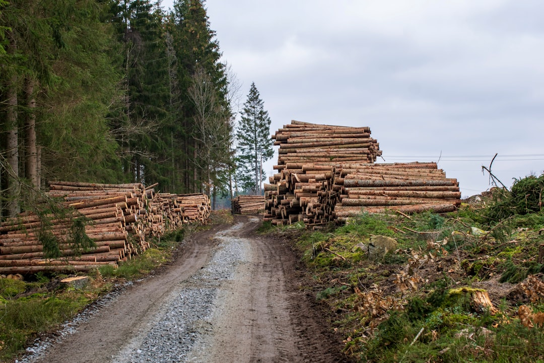 Netdata, how to use Netdata, Netdata snapshot and restore workflow