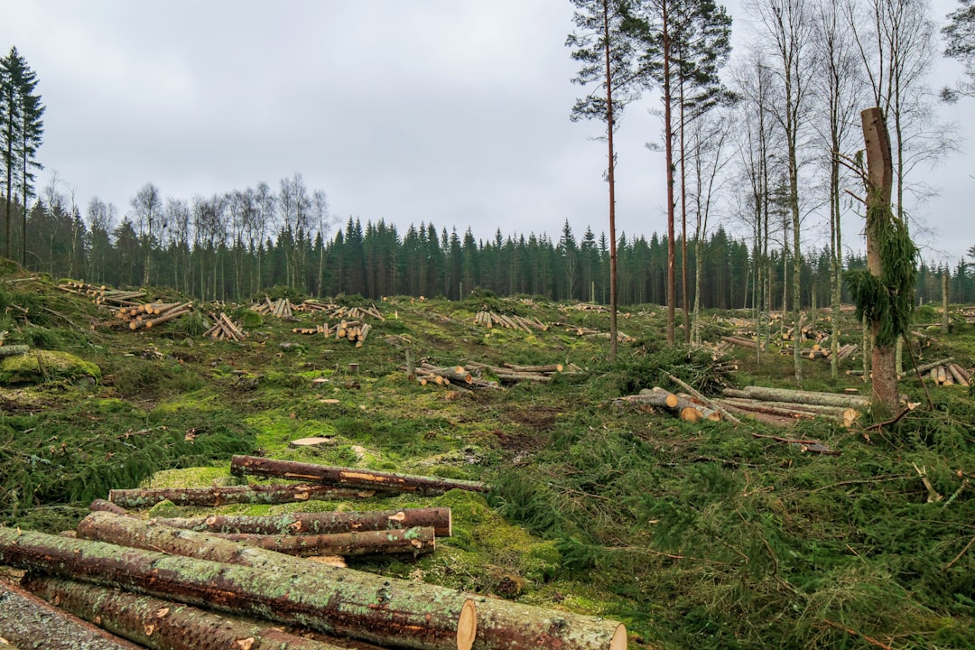 Netdata, how to use Netdata, Netdata snapshot and restore workflow