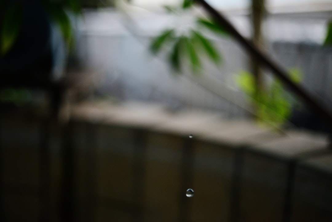 Rainloop, how to use Rainloop, Rainloop snapshot and restore workflow