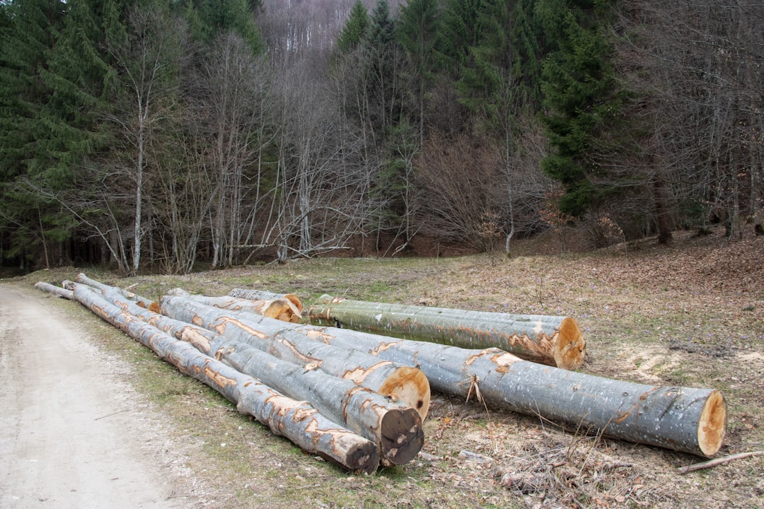 Zabbix, how to use Zabbix, Zabbix snapshot and restore workflow