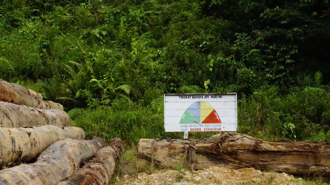 Checkmk Raw, how to use Checkmk Raw, Checkmk Raw snapshot and restore workflow