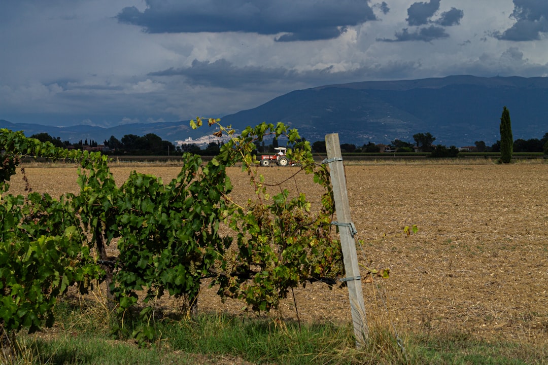 Far Manager, how to use Far Manager, Far Manager snapshot and restore workflow