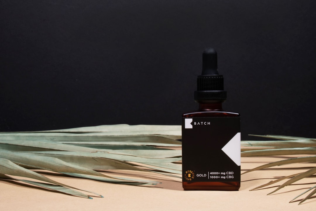 Kopia, how to use Kopia, Kopia snapshot and restore workflow