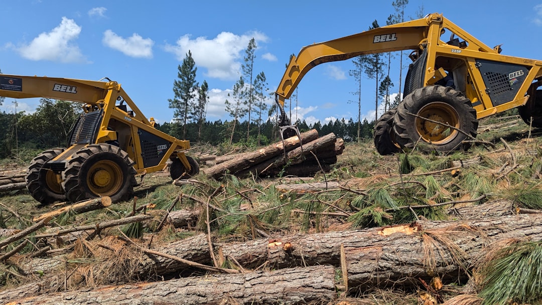 Netdata, how to use Netdata, Netdata snapshot and restore workflow