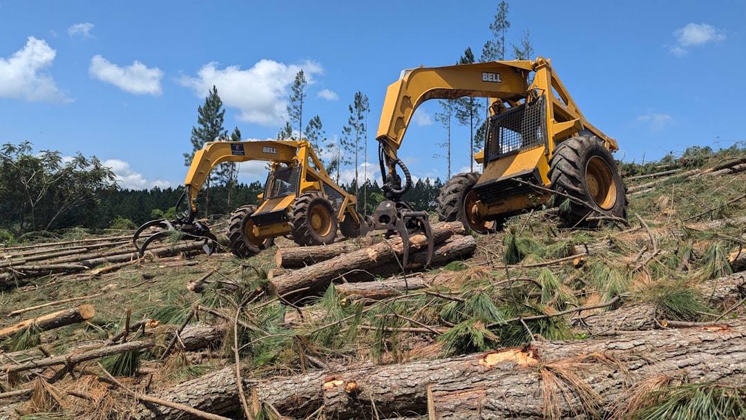 Netdata, how to use Netdata, Netdata snapshot and restore workflow