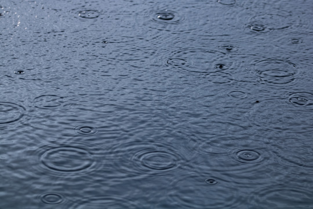 Rainloop, how to use Rainloop, Rainloop snapshot and restore workflow