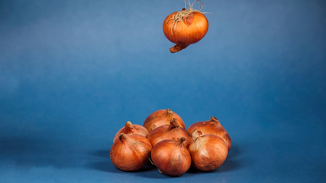 Security Onion, how to use Security Onion, Security Onion snapshot and restore workflow