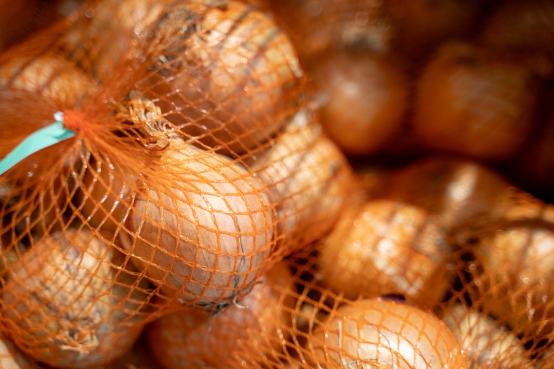 Security Onion, how to use Security Onion, Security Onion snapshot and restore workflow