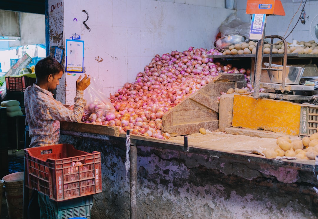 Security Onion, how to use Security Onion, Security Onion snapshot and restore workflow