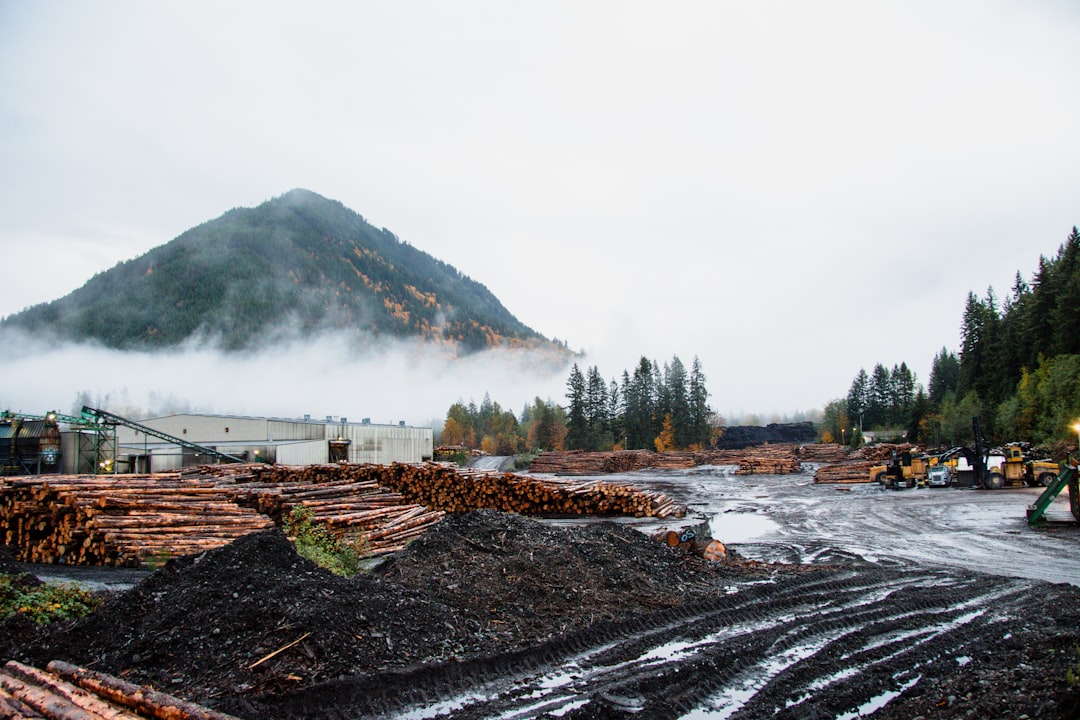 SigNoz, how to use SigNoz, SigNoz snapshot and restore workflow