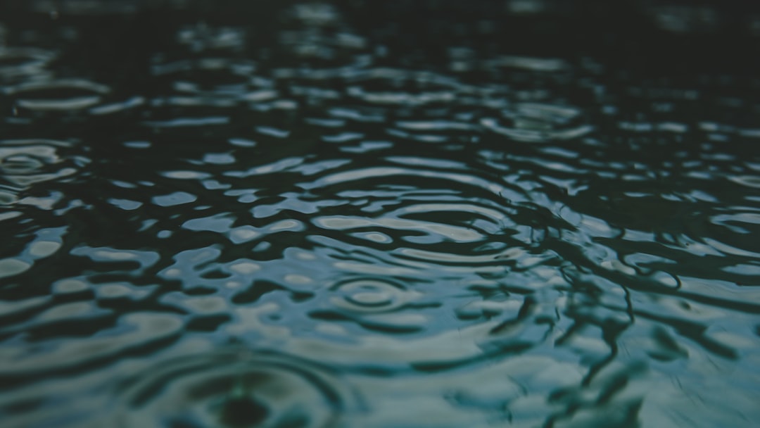 Rainloop, how to use Rainloop, Rainloop snapshot and restore workflow