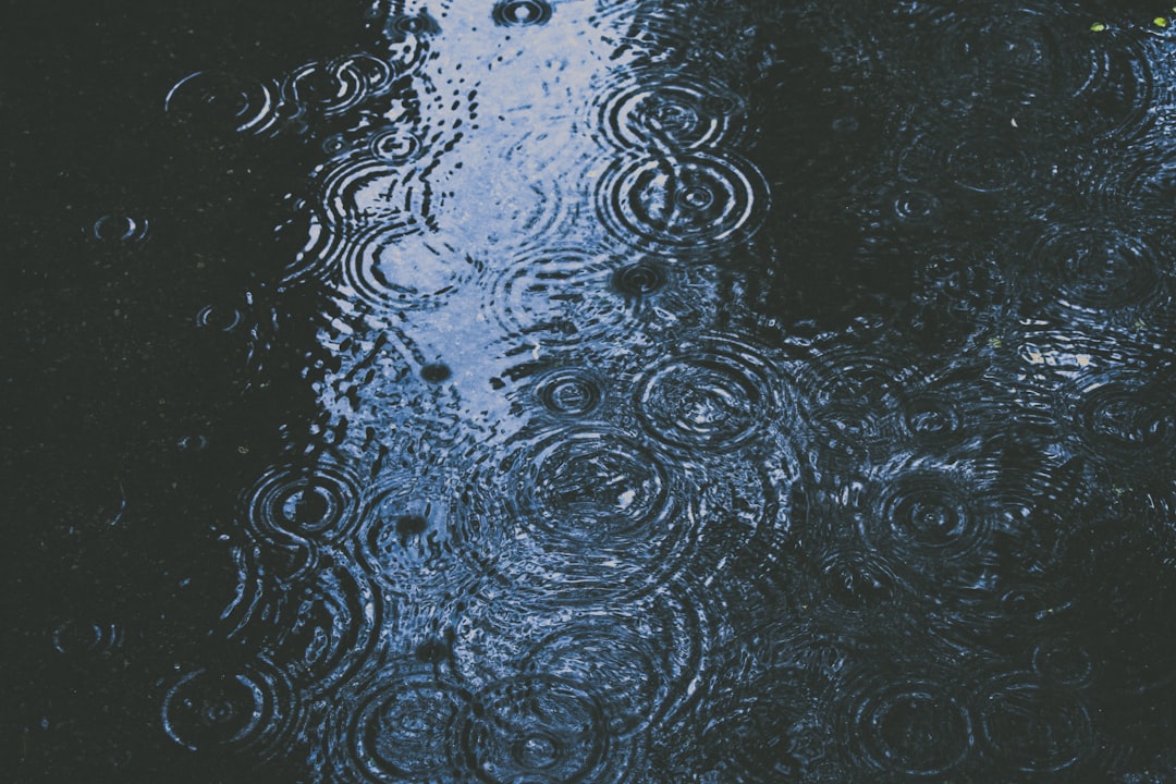 Rainloop, how to use Rainloop, Rainloop snapshot and restore workflow