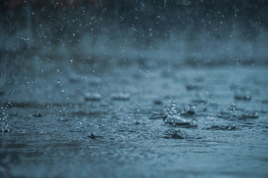 Rainloop, how to use Rainloop, Rainloop snapshot and restore workflow