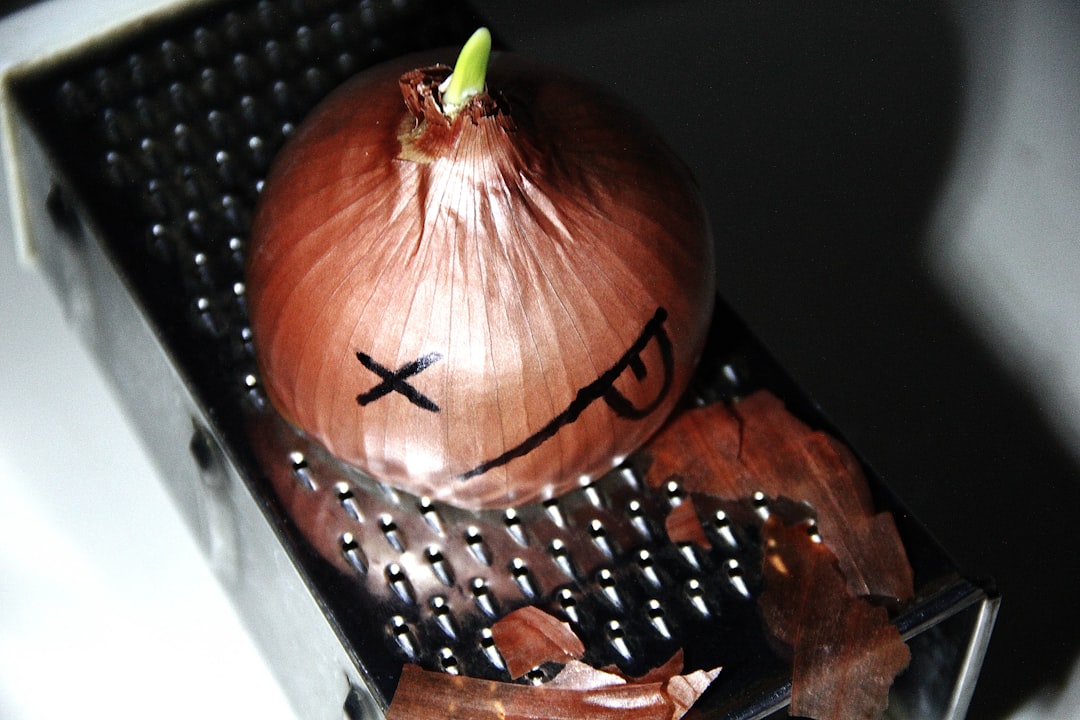 Security Onion, how to use Security Onion, Security Onion snapshot and restore workflow