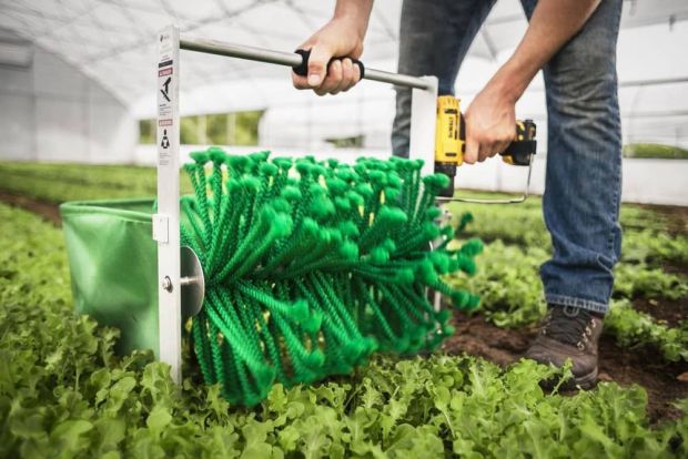 Harvester, how to use Harvester, Harvester snapshot and restore workflow